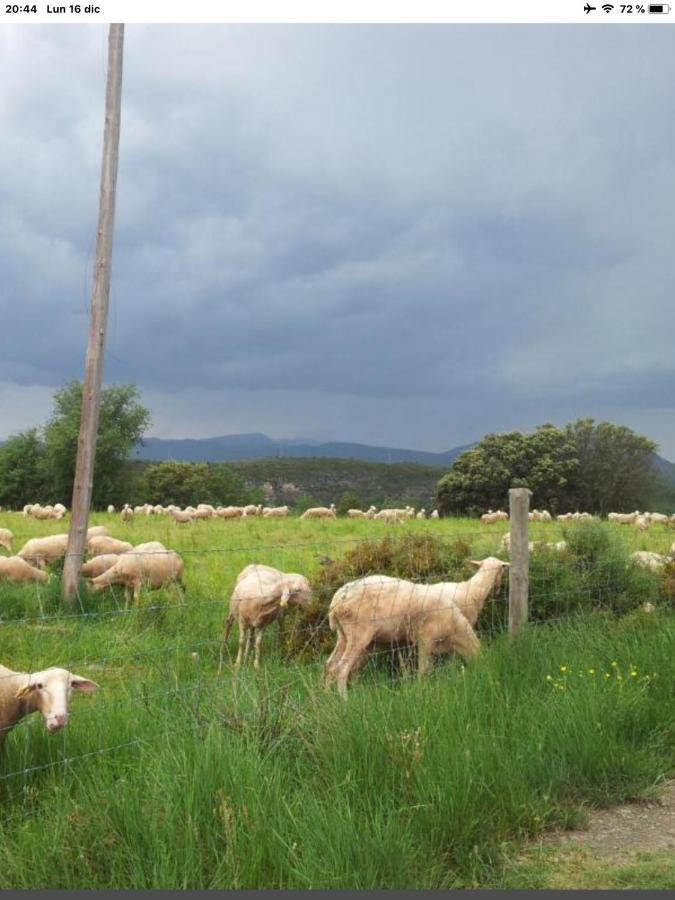 Vistas a la Montaña en un Pueblo con Encanto. El Pueyo de Araguás Exterior foto