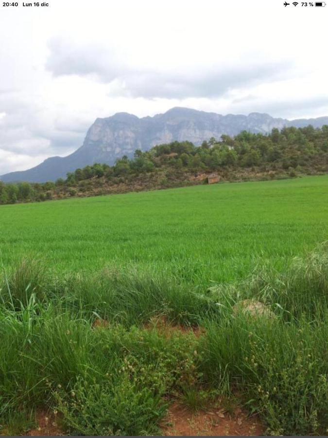 Vistas a la Montaña en un Pueblo con Encanto. El Pueyo de Araguás Exterior foto